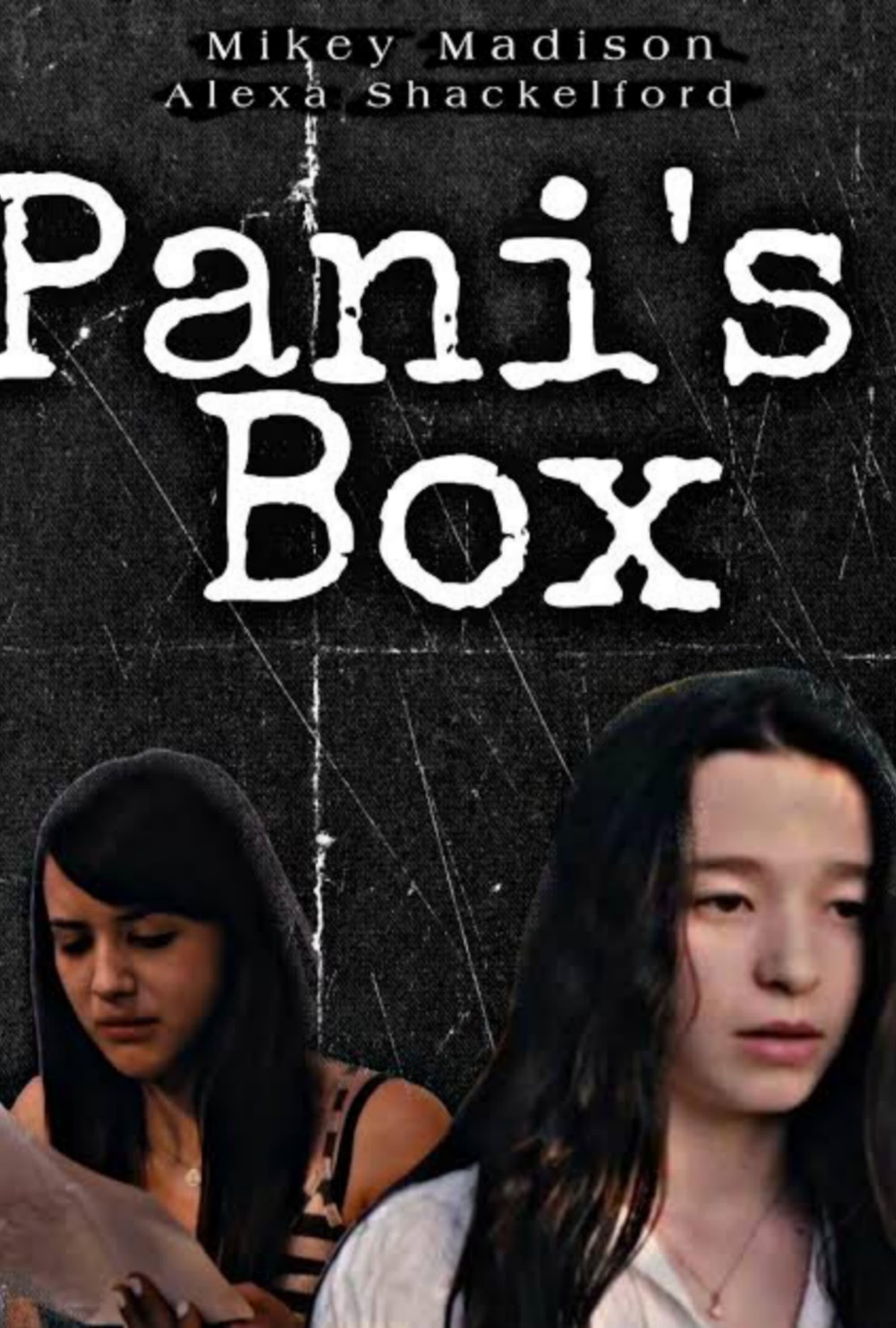 Pani's Box poster