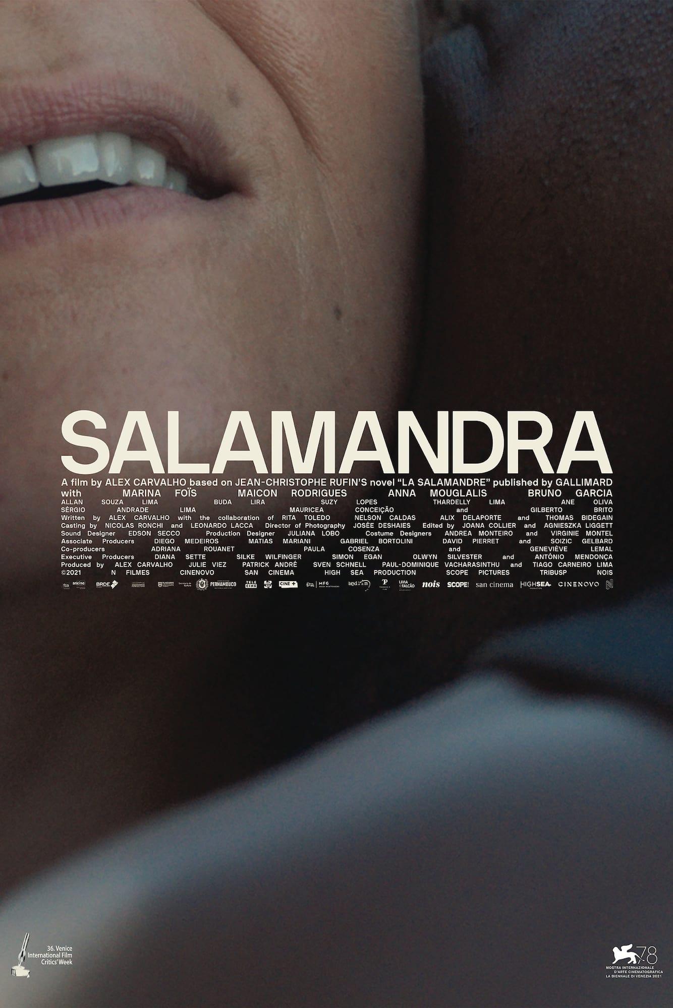 The Salamander poster