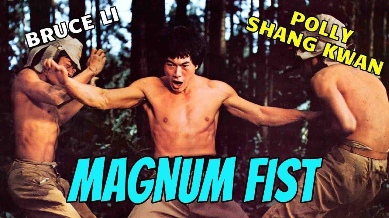 Bruce Li's Magnum Fist backdrop