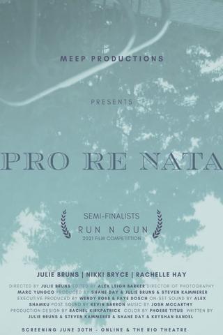 Pro Re Nata poster