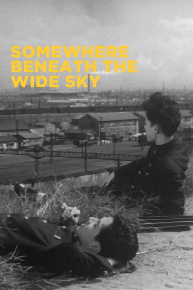 Somewhere Beneath the Wide Sky poster