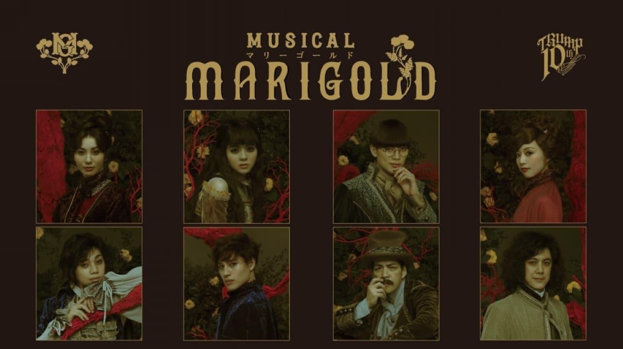 Musical - MARIGOLD- backdrop
