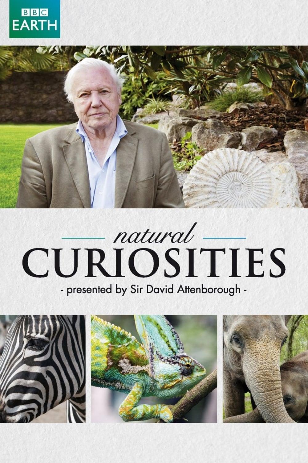 David Attenborough's Natural Curiosities poster