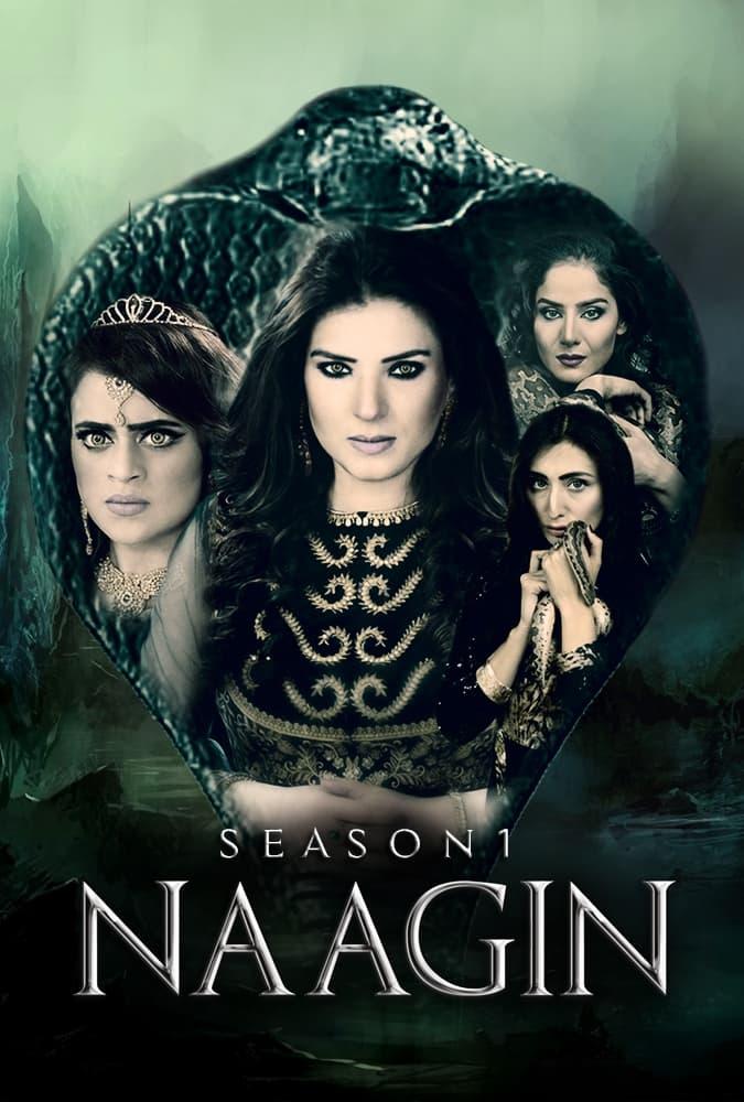 Naagin poster