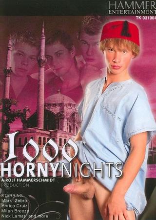 1000 Horny Nights poster