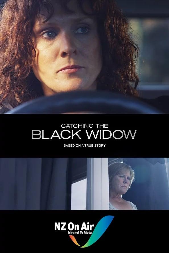 Catching the Black Widow poster