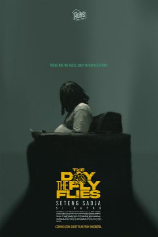 The Day The Fly Flies poster