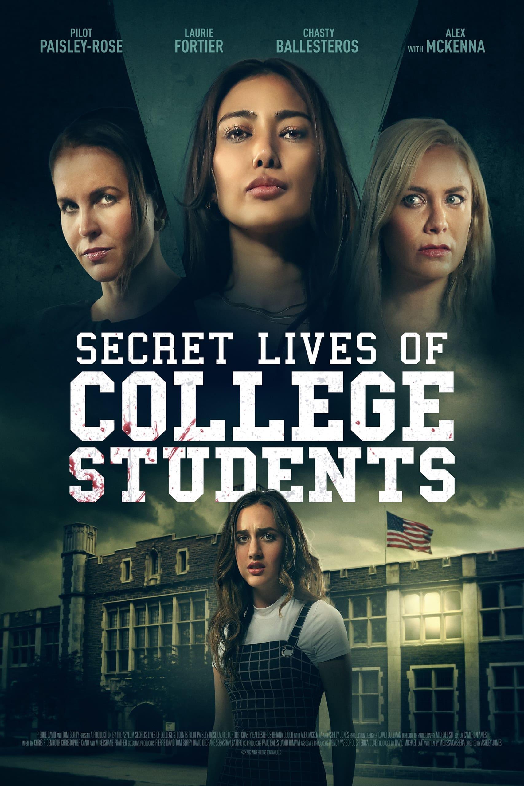 Secret Lives of College Escorts poster