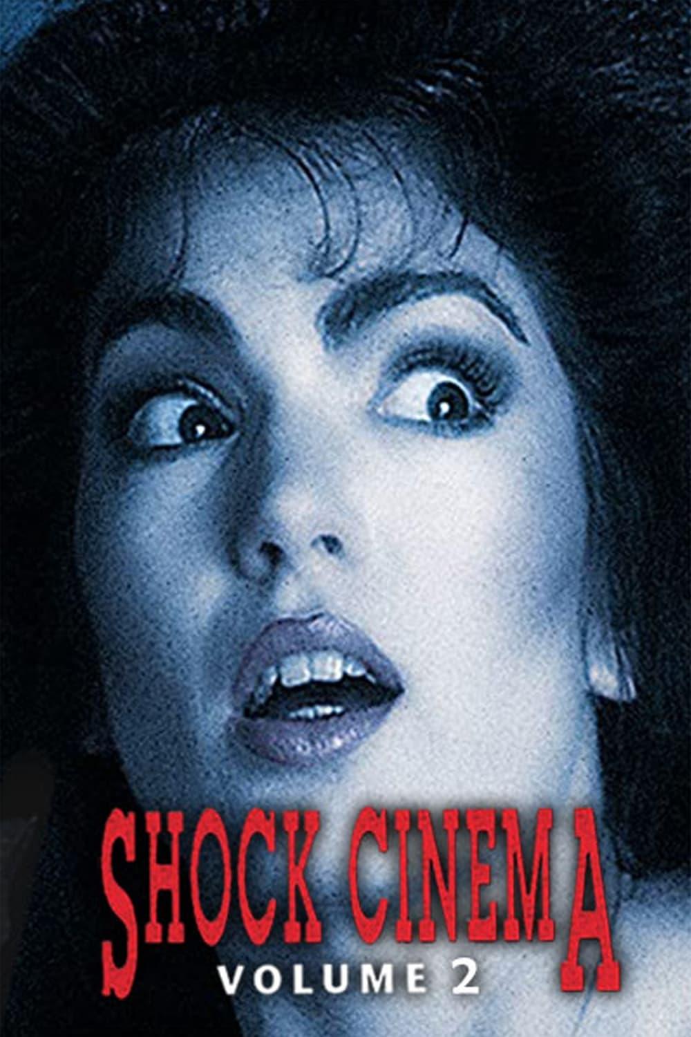 Shock Cinema: Volume Two poster