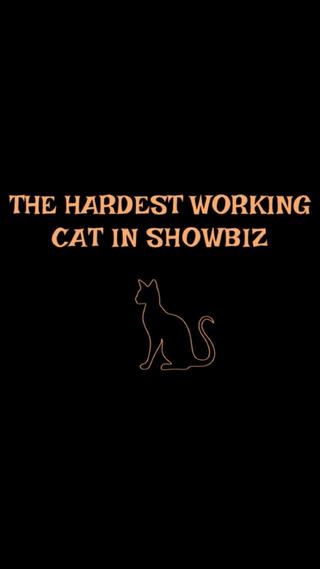 The Hardest Working Cat in Showbiz poster