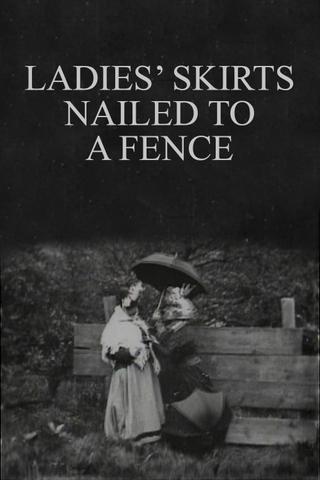 Ladies' Skirts Nailed to a Fence poster