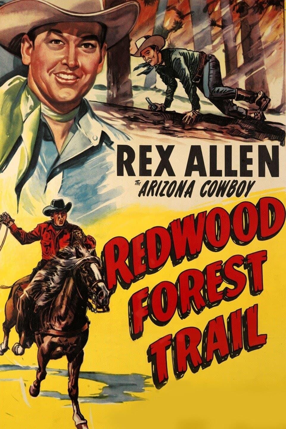 Redwood Forest Trail poster