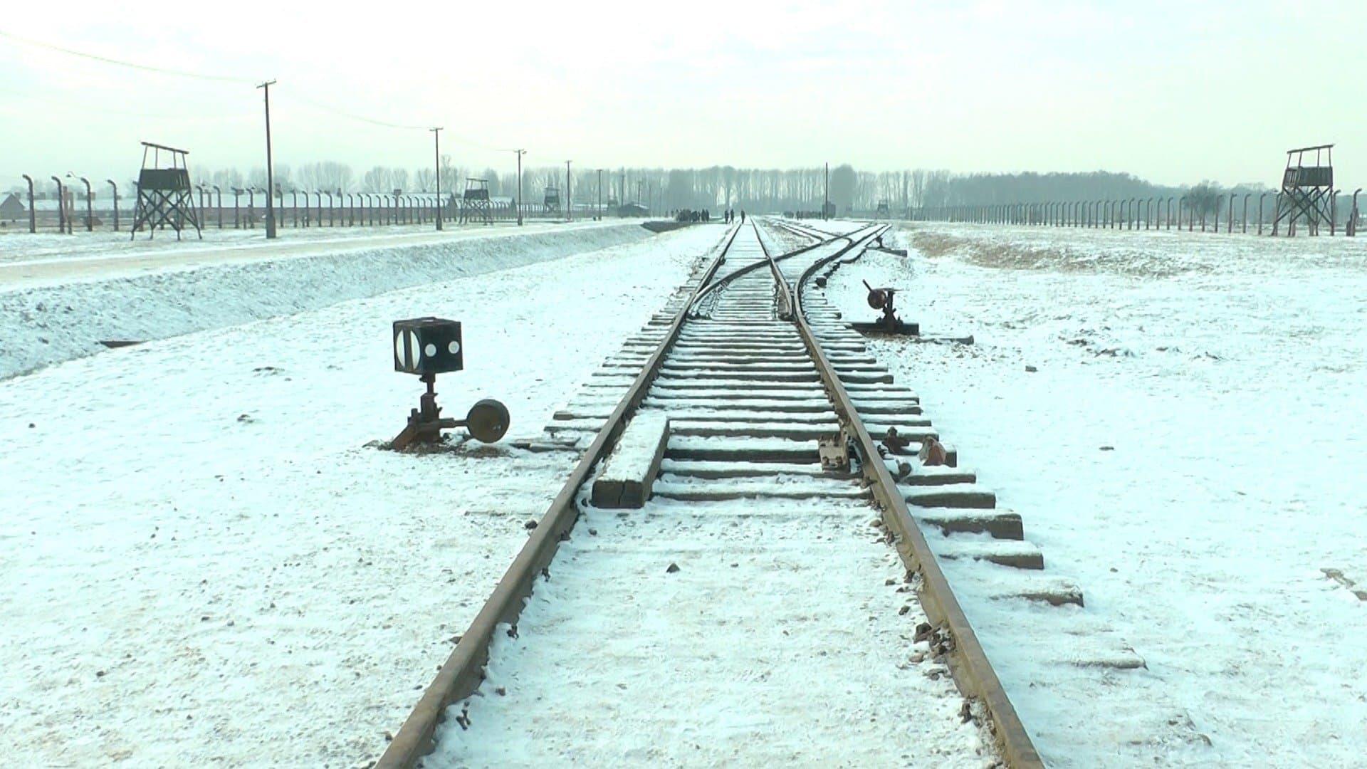 19 876 Steps in Auschwitz / Birkenau backdrop