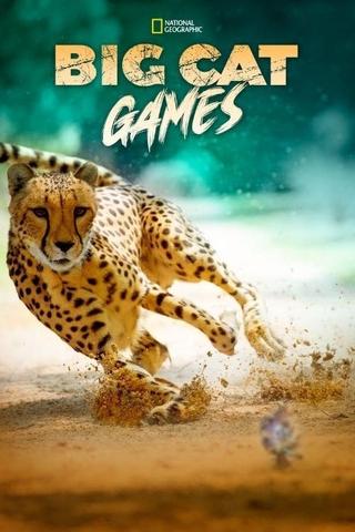 Big Cat Games poster