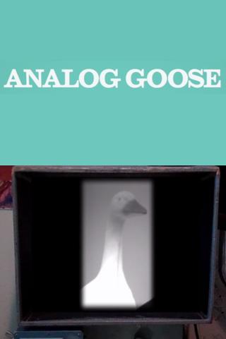Analog Goose poster