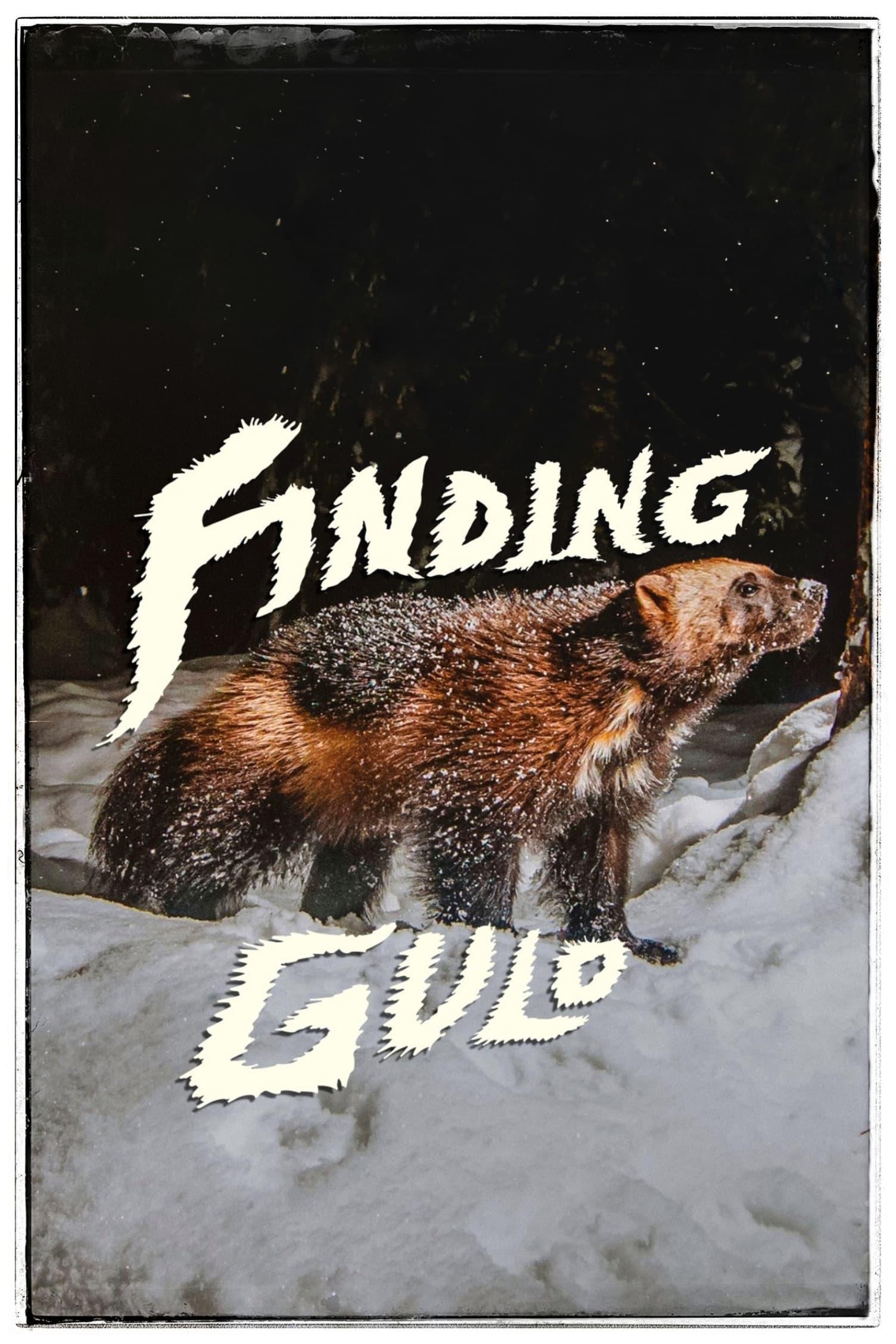 Finding Gulo poster