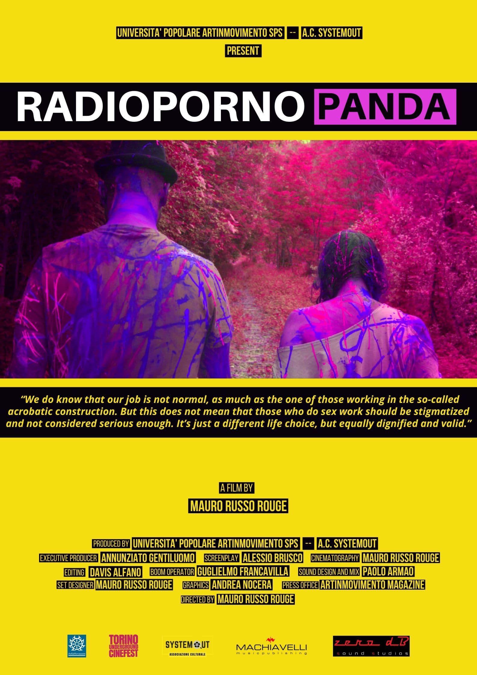 Radiopornopanda poster