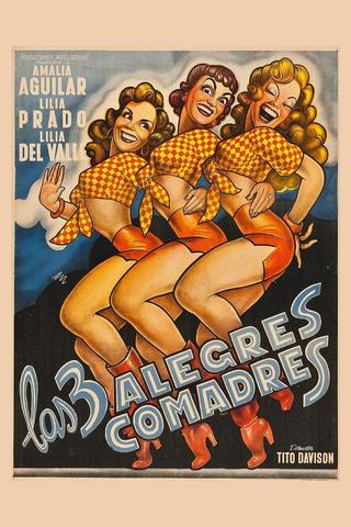 Las tres alegres comadres poster