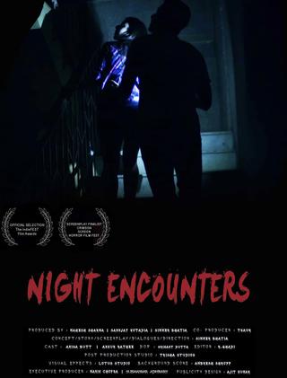 Night Encounters poster