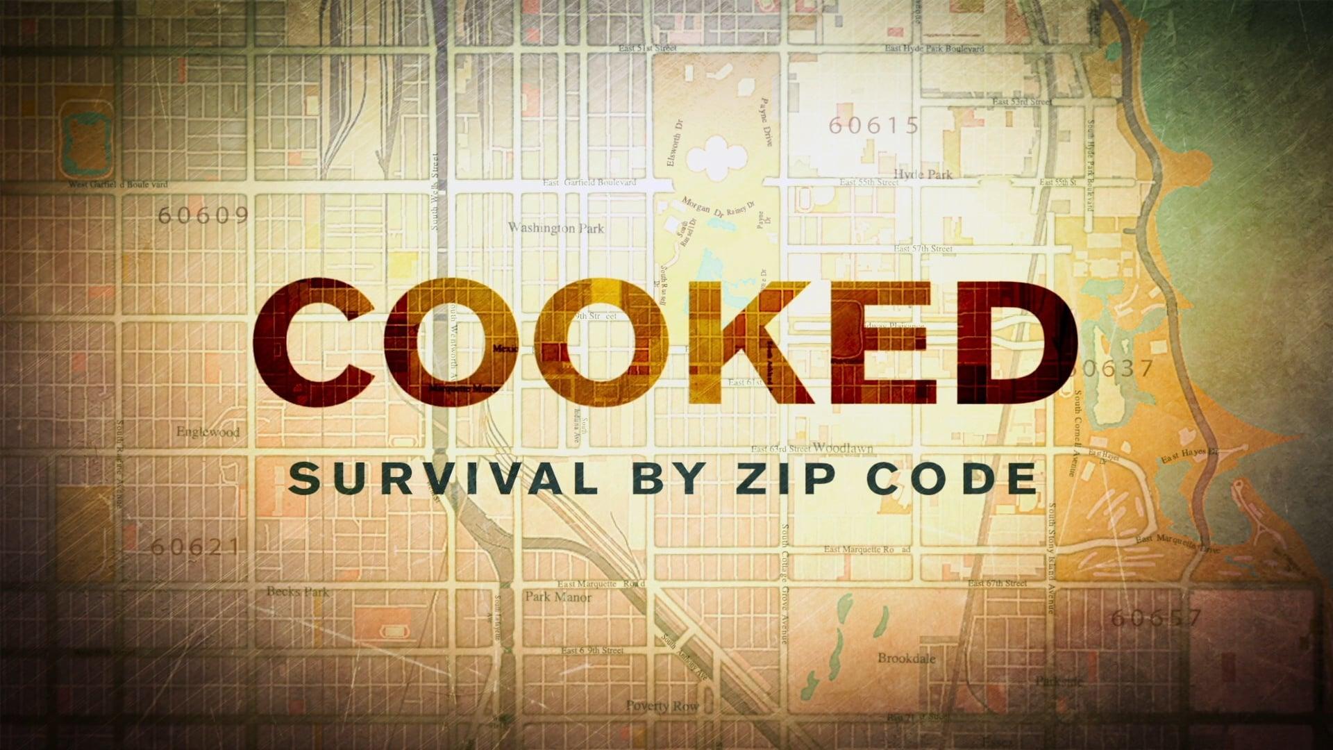 Cooked: Survival by Zip Code backdrop