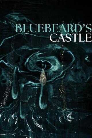 Bluebeard's Castle poster