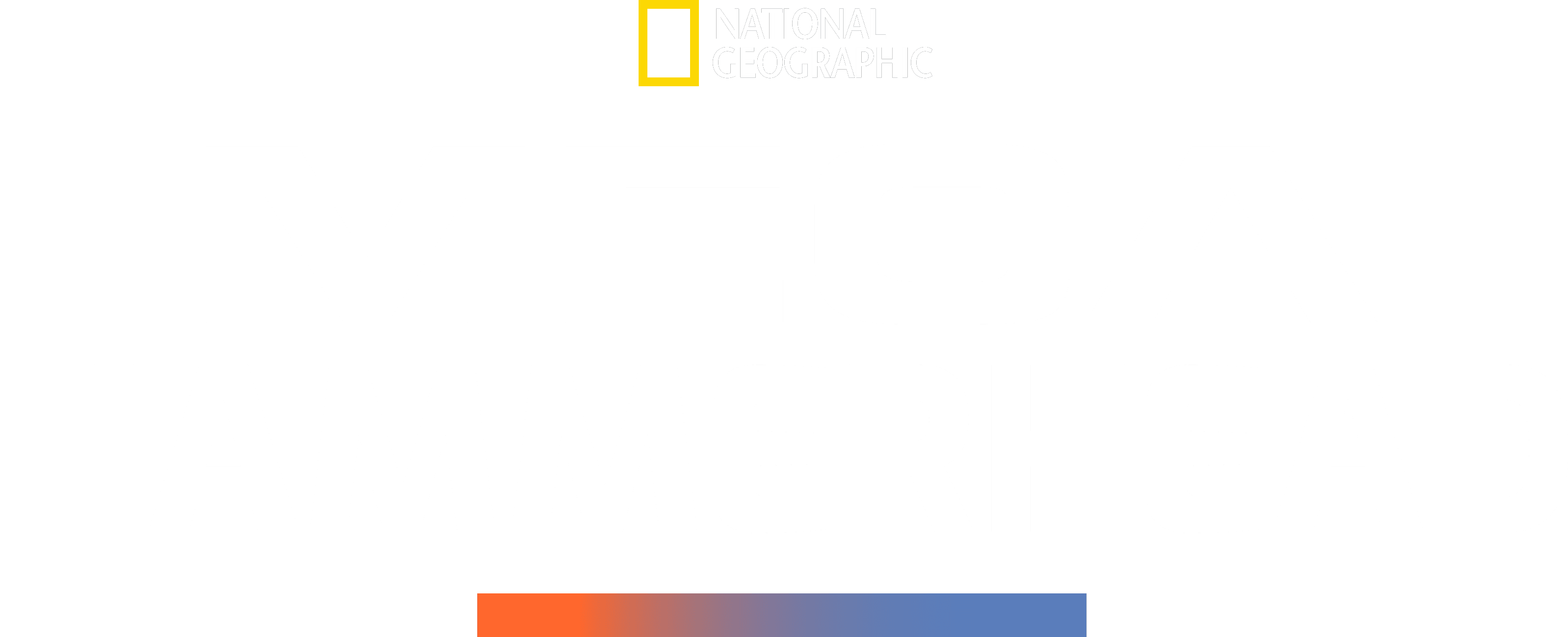 Mega Hammerhead logo