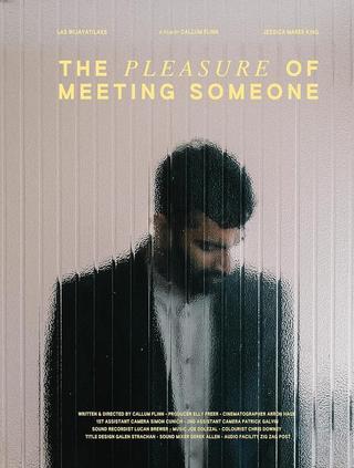 The Pleasure of Meeting Someone poster
