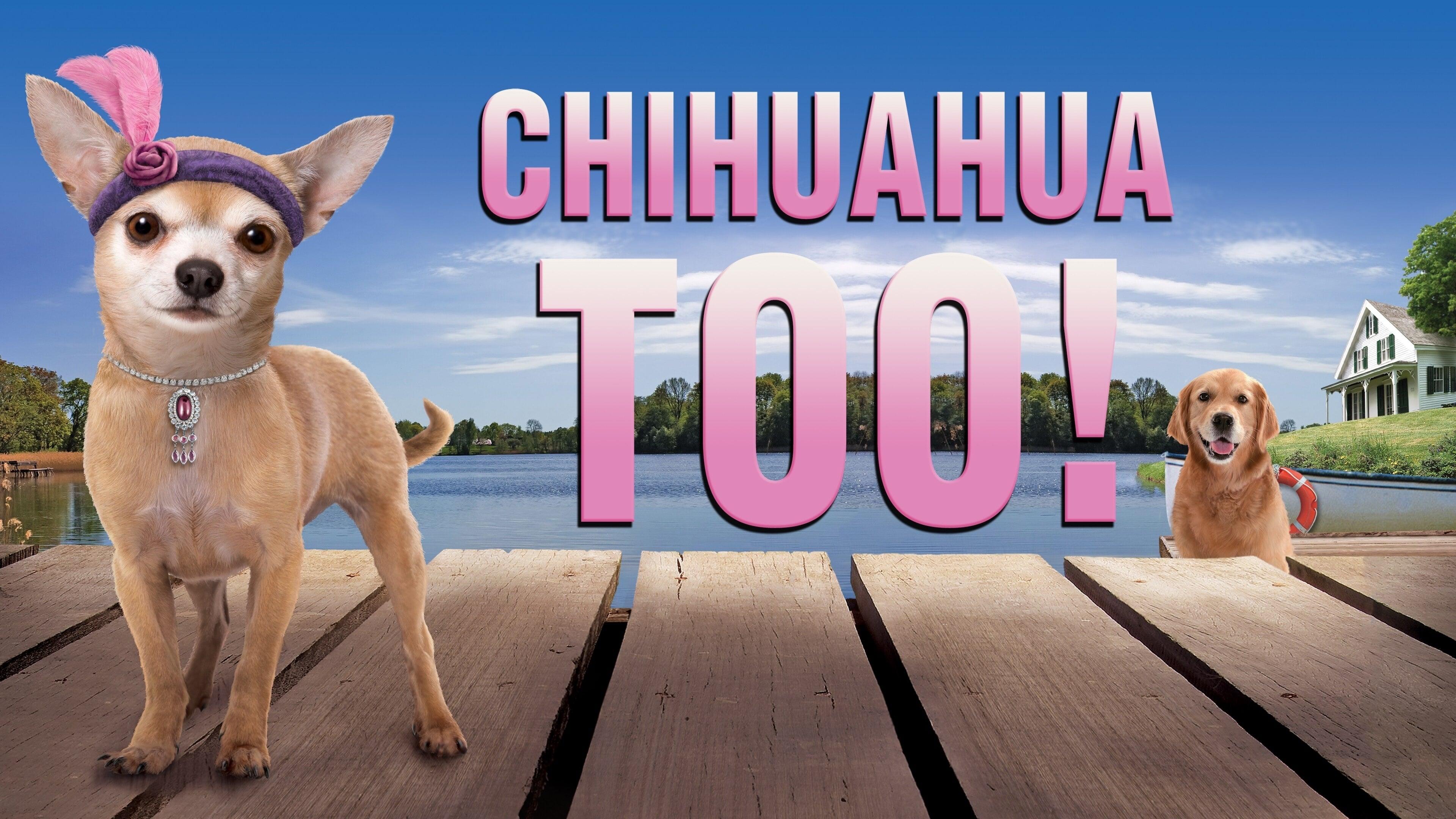 Chihuahua Too! backdrop