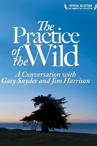 The Practice of the Wild poster