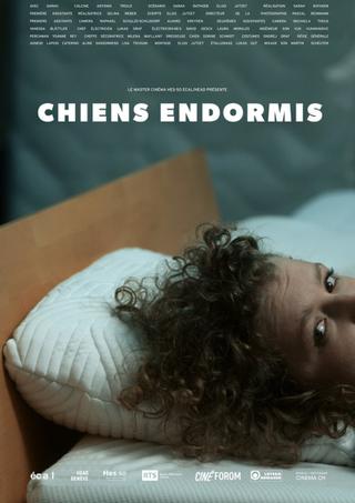 Chiens endormis poster