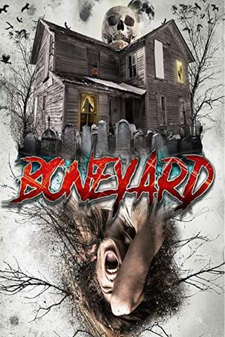 Boneyard poster