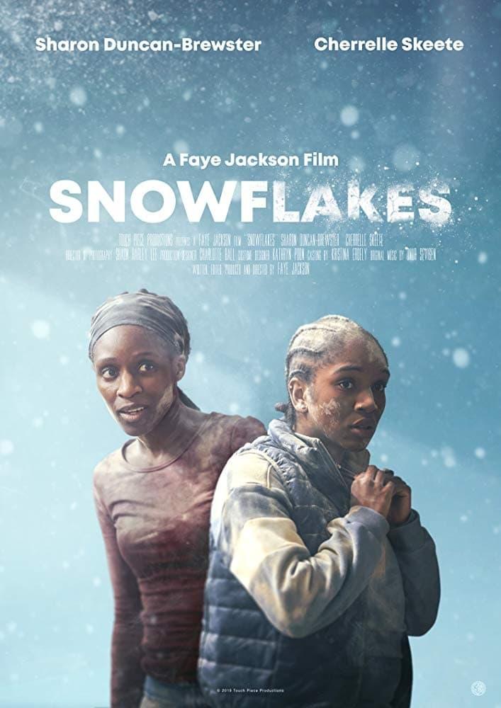 Snowflakes poster