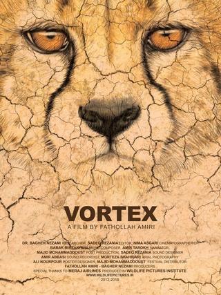 Vortex poster