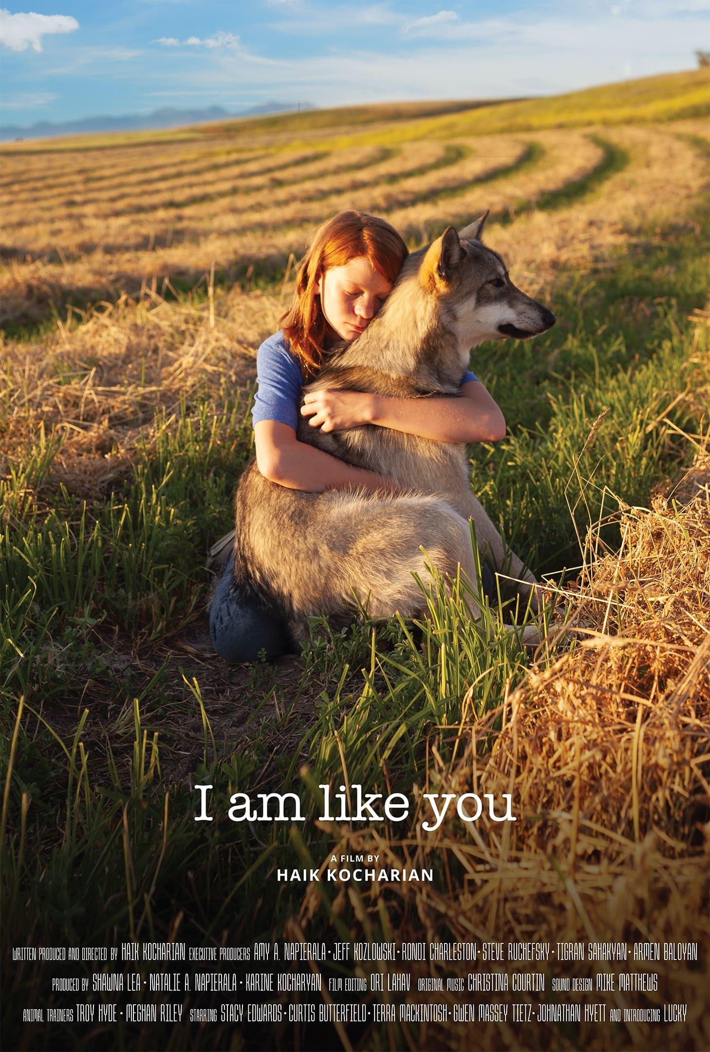 I Am Like You poster