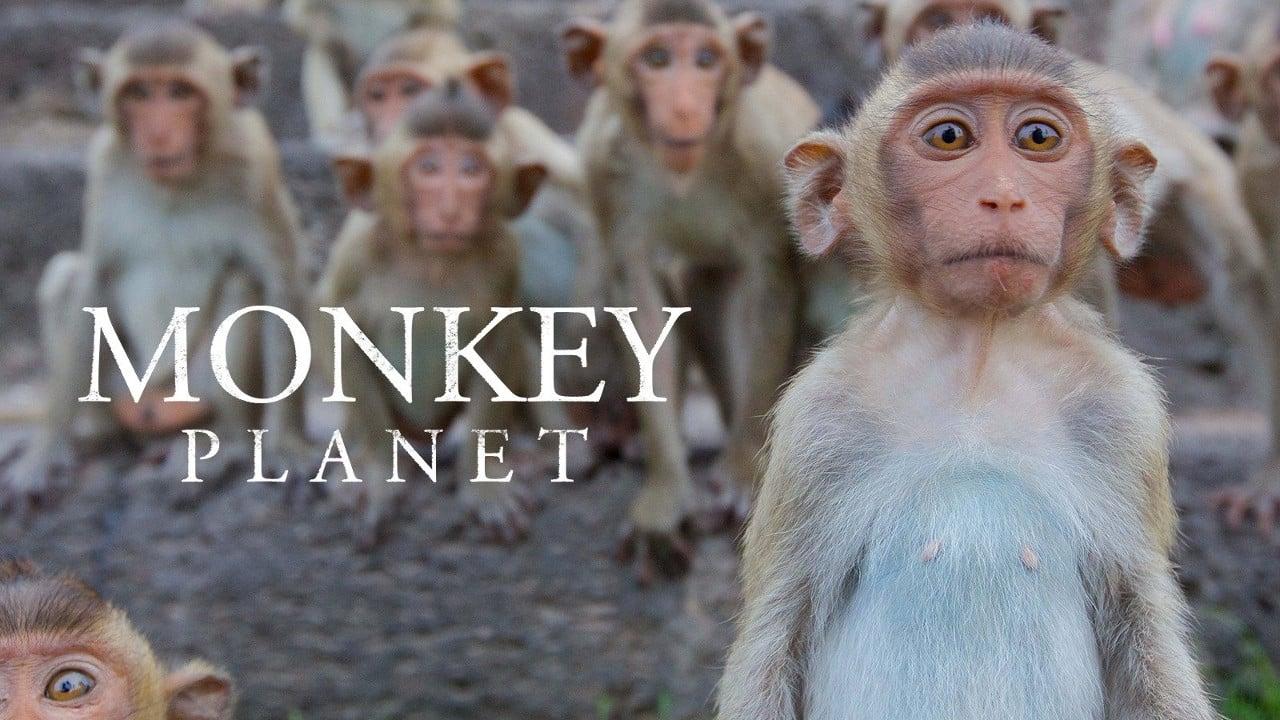 Monkey Planet backdrop