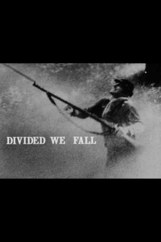 Divided We Fall poster