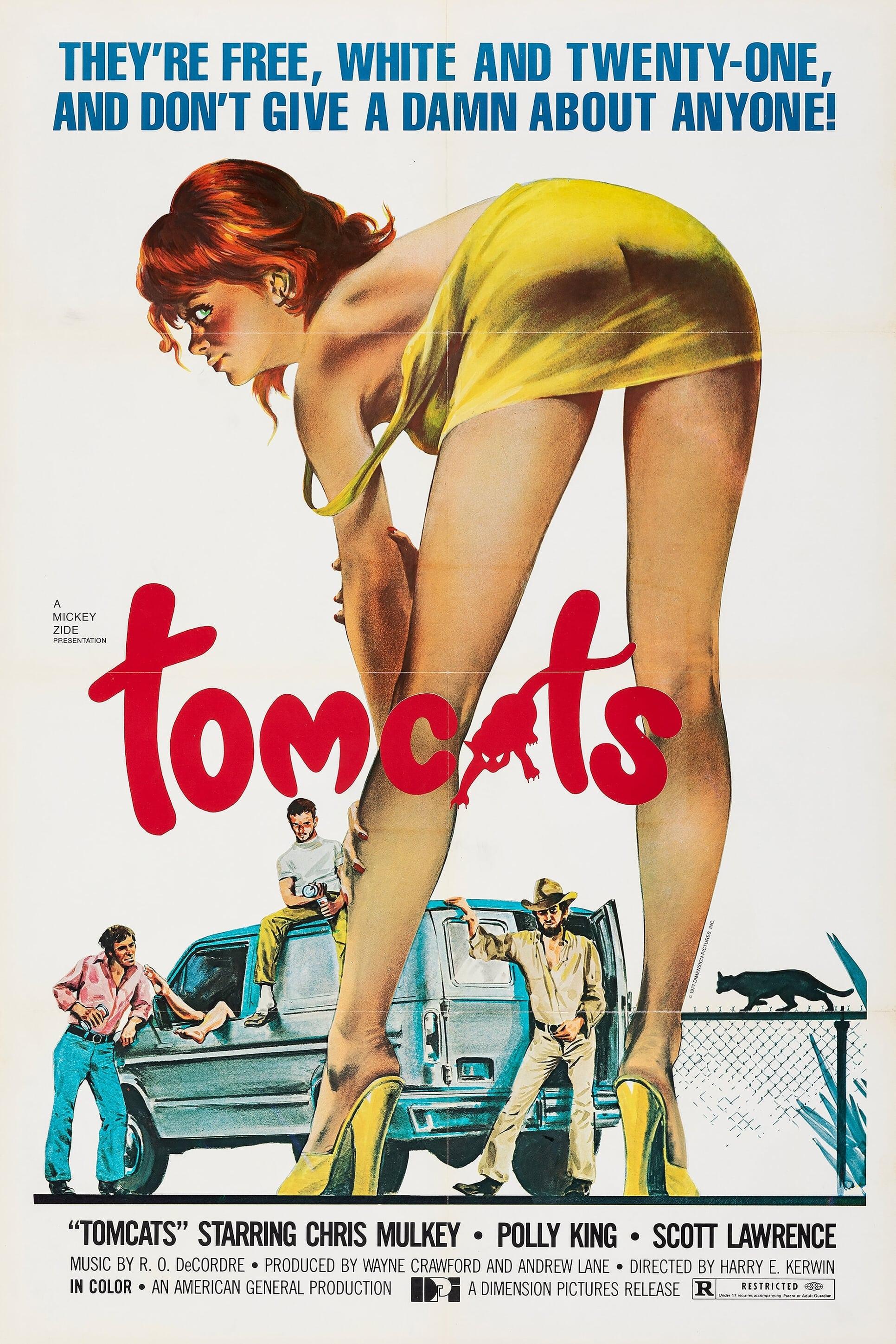 Tomcats poster