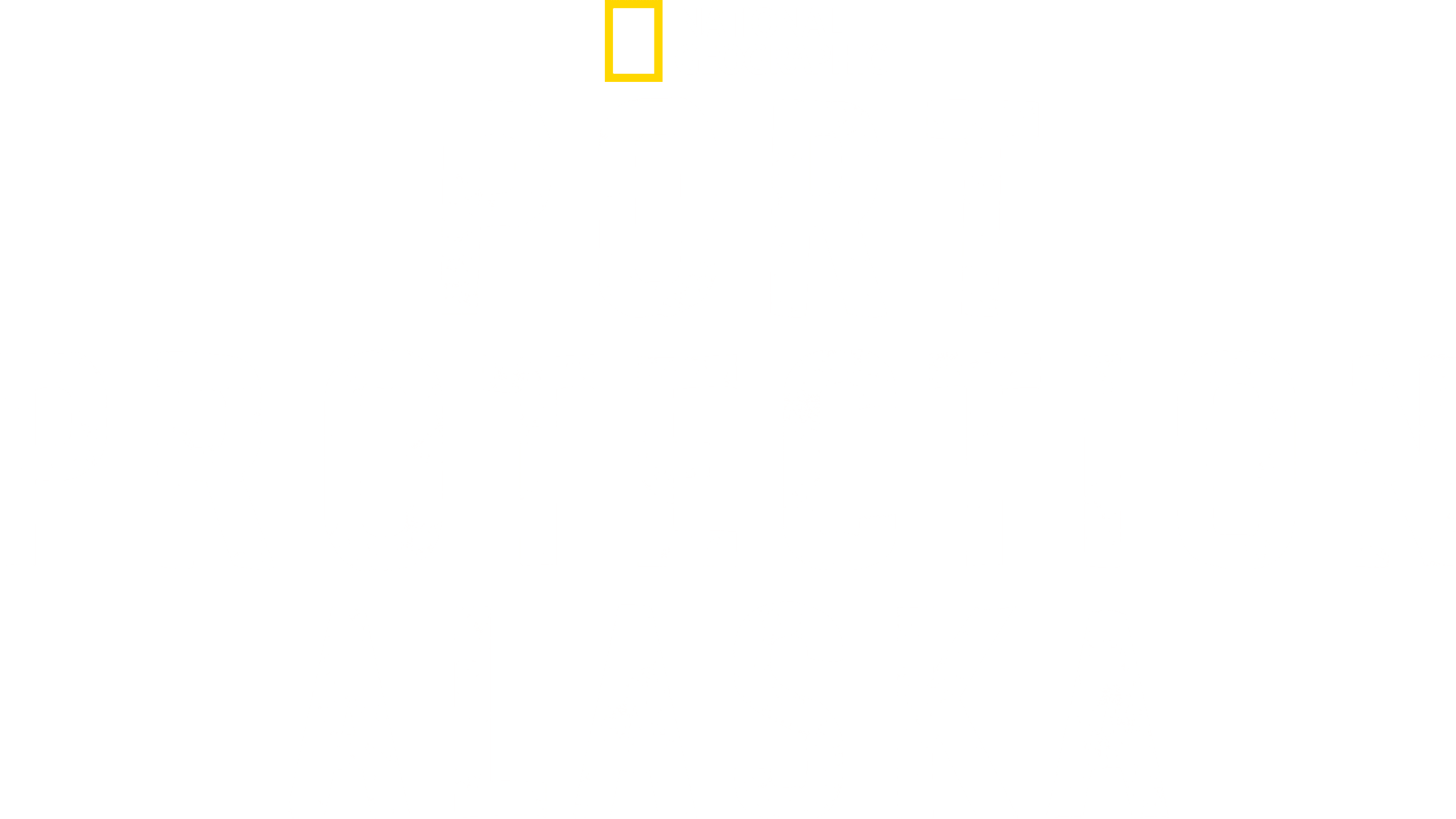 Port Protection Alaska logo