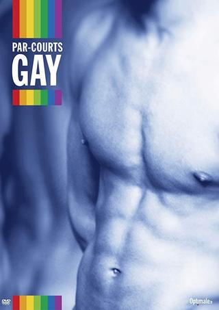 Par-courts Gay, Volume 1 poster