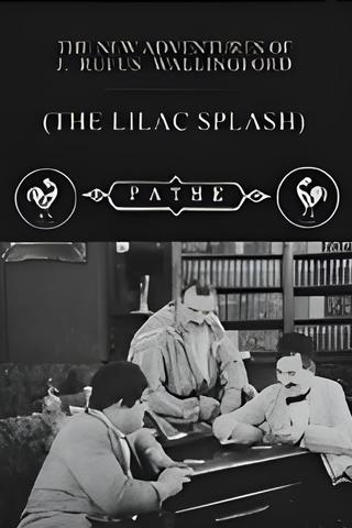 The Lilac Splash poster