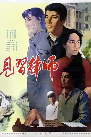 Zai jian lü shi poster