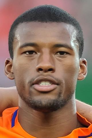 Georginio Wijnaldum pic