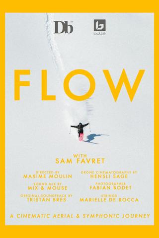 FLOW poster