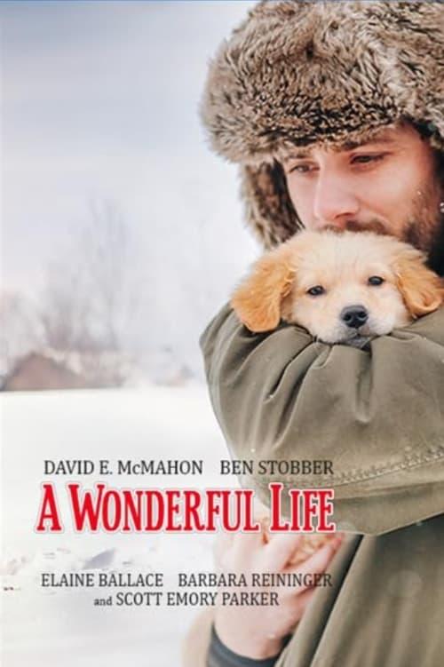 A Wonderful Life poster