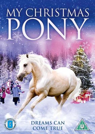 My Christmas Pony poster
