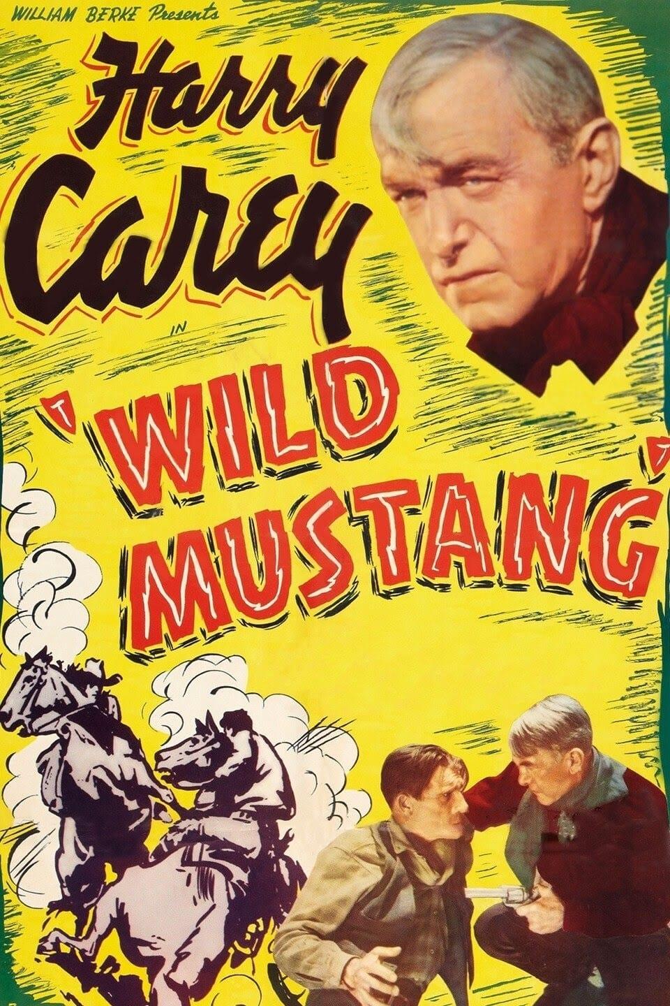 Wild Mustang poster