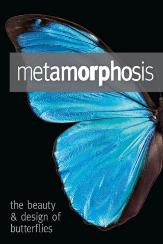 Metamorphosis: The Design and Beauty of Butterflies poster