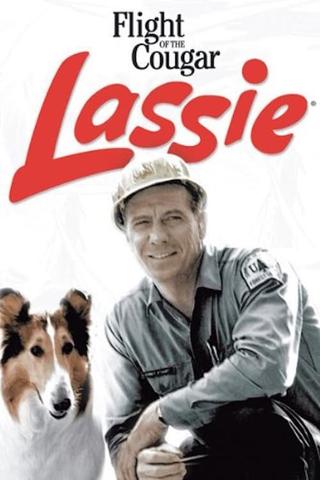 Lassie and the Flight of the Cougar poster