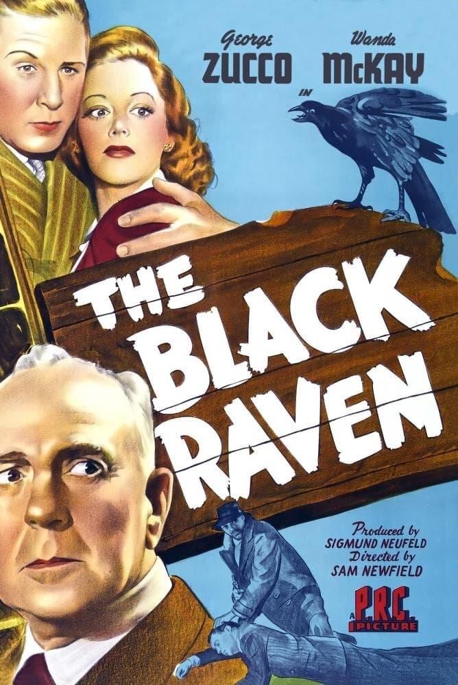 The Black Raven poster