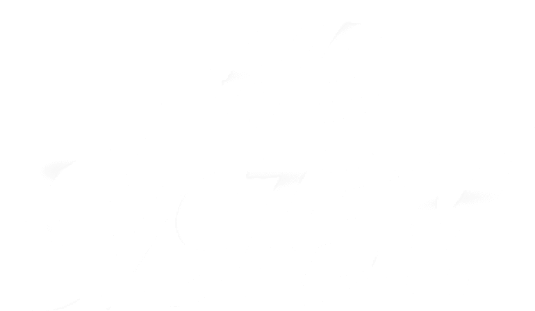 The System logo